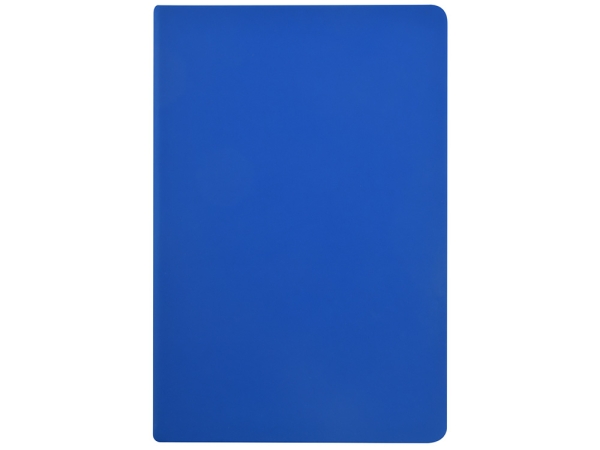 Ежедневник А5 датированный "Megapolis Color" 2026, синий