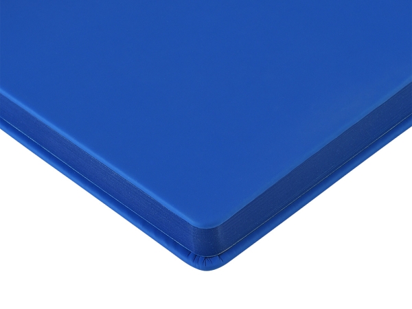 Ежедневник А5 датированный "Megapolis Color" 2026, синий