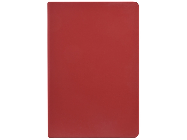 Ежедневник А5 датированный "Megapolis Color" 2026, бордовый