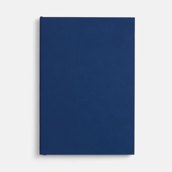 Ежедневник Flat, недатированный, синий, ver.2
