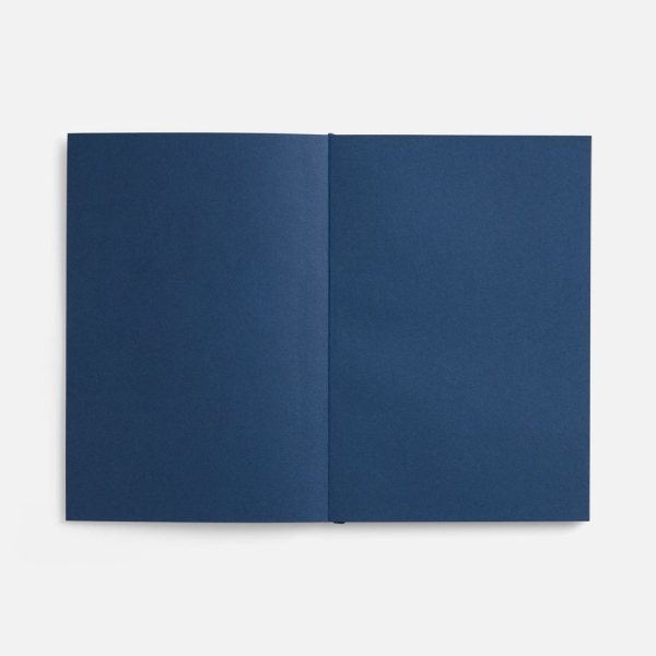 Ежедневник Flat, недатированный, синий, ver.2