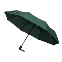 Зонт складной Passat, зеленый