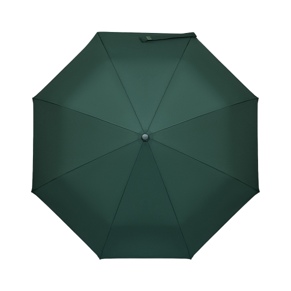 Зонт складной Passat, зеленый