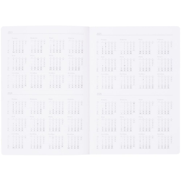 Ежедневник Nebraska Flex, недатированный, бордовый с серебристым