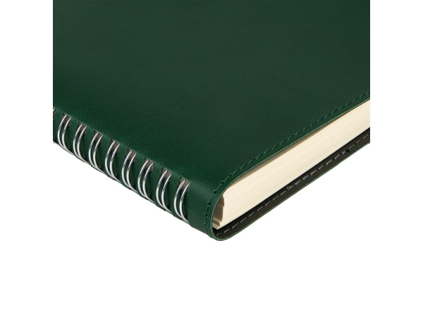 Ежедневник А5 "Tintoretto", зеленый