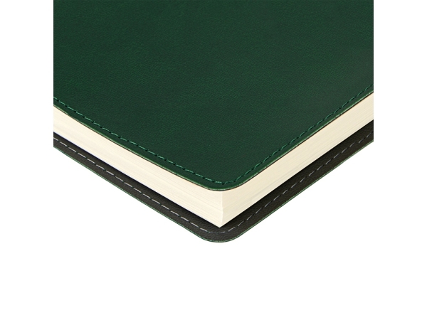 Ежедневник А5 "Tintoretto", зеленый