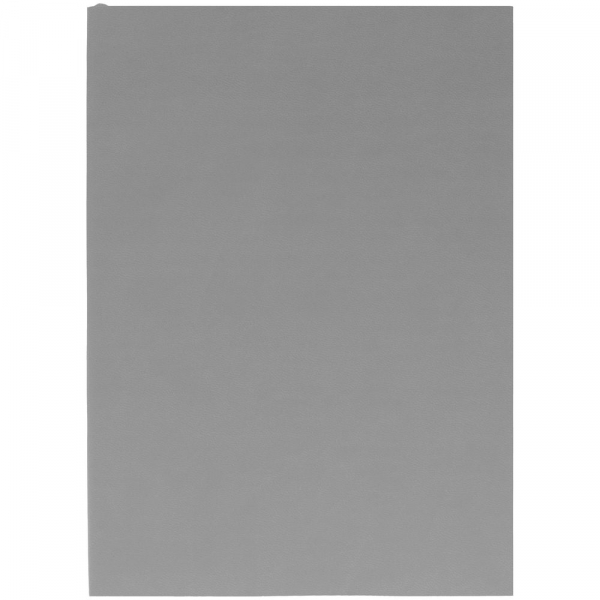 Ежедневник Flat Light, недатированный, серый