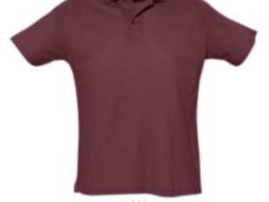 Рубашка поло мужская SUMMER II 170