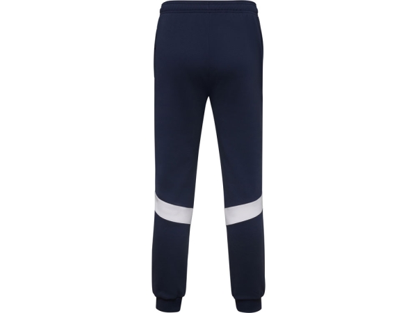 Брюки спортивные «Rodas» мужские, синий нэйви