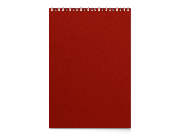 Бизнес - блокнот А4 (198 х 285 мм) "Office" 60 л., красный