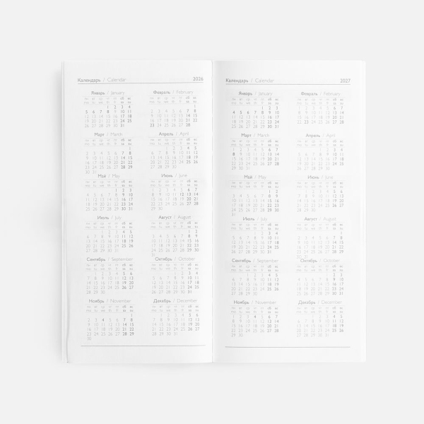 Еженедельник Baza, датированный, серый