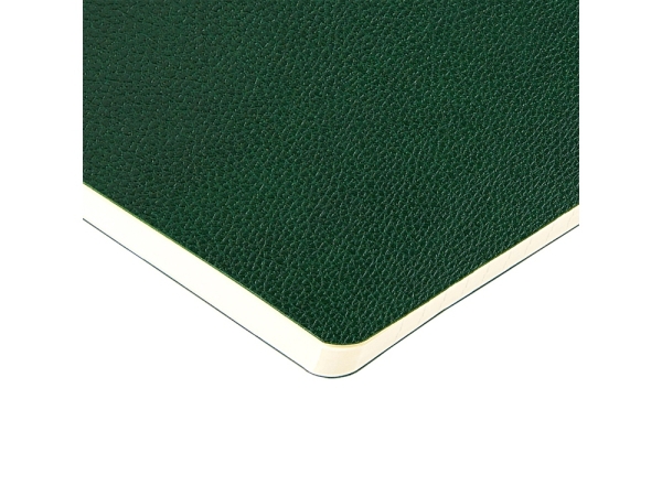 Бизнес-тетрадь А5 "Megapolis Loft Flex" 60 л., линейка, зеленый