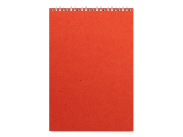 Бизнес - блокнот А4 (198 х 285 мм) "Office" 60 л., оранжевый