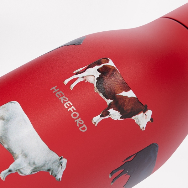 Термобутылка вакуумная герметичная Севилла, красная