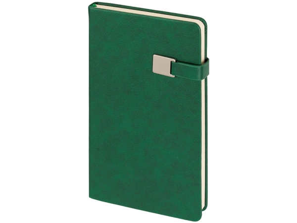 Ежедневник недатированный А5 "Premier", зеленый