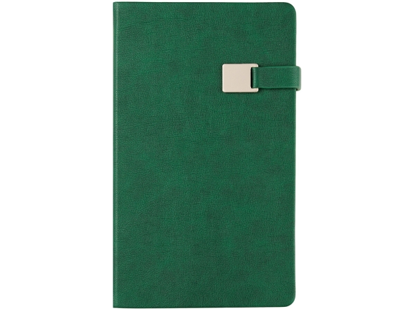 Ежедневник недатированный А5 "Premier", зеленый