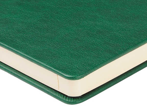 Ежедневник недатированный А5 "Premier", зеленый