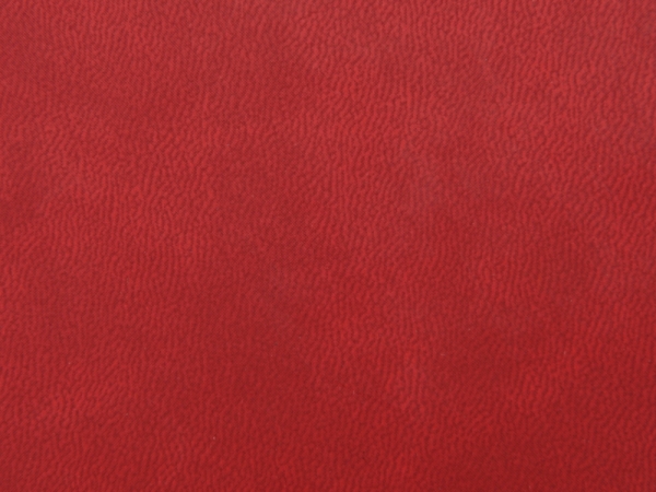 Блокнот А6 Riner, красный