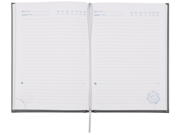 Ежедневник недатированный А5 "Probe AR", графит