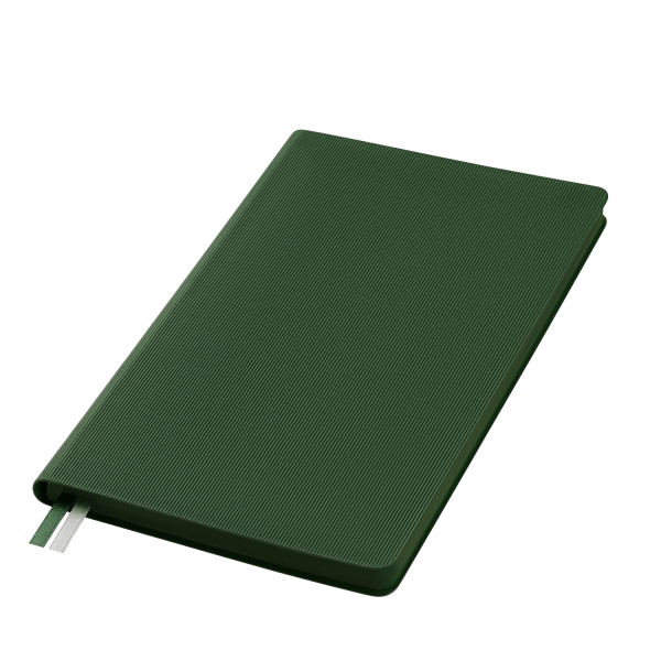 Ежедневник Rain недатированный, зеленый