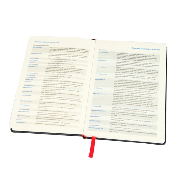 Ежедневник недатированный RAY, формат А5, в клетку