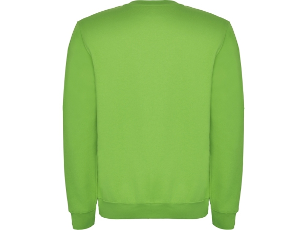 Свитшот с начесом "Clasica" детский, зеленое яблоко