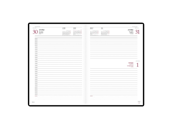 Ежедневник А5 датированный «Velvet» 2025, черный