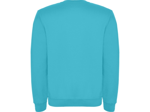 Свитшот с начесом "Clasica" унисекс, бирюзовый