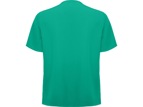 Рубашка мужская "Ferox", нежно-зеленый