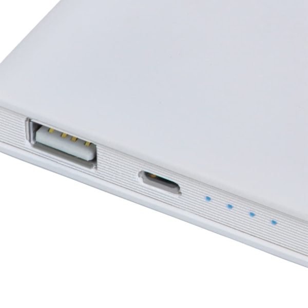 Универсальный аккумулятор "Shaky" (4000mAh), 7,6х12,1х1,2см, пластик