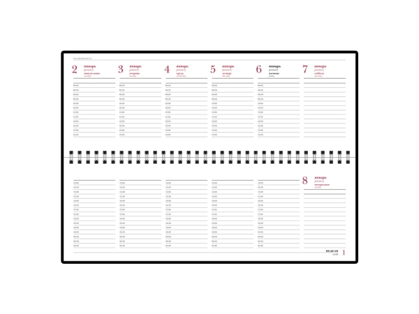 Планинг датированный «Бумвинил» 2025, черный