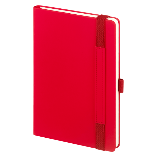 Ежедневник Alpha недатированный, красный/серый