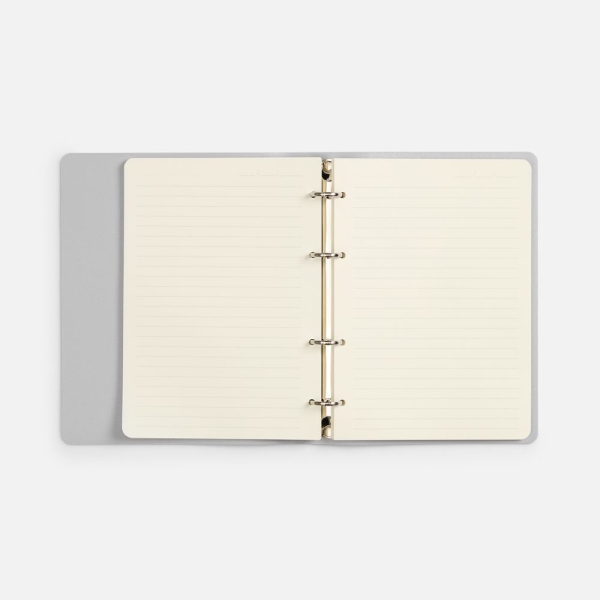 Ежедневник Ringo, недатированный, серебристый