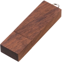 Флешка BRIKS WOOD Темное дерево 4001.32.32ГБ3.0 Флешка BRIKS WOOD Темное дерево 4001.32.32ГБ3.0