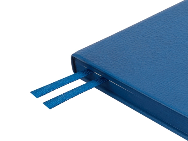 Ежедневник недатированный А5 "Megapolis Nappa", синий