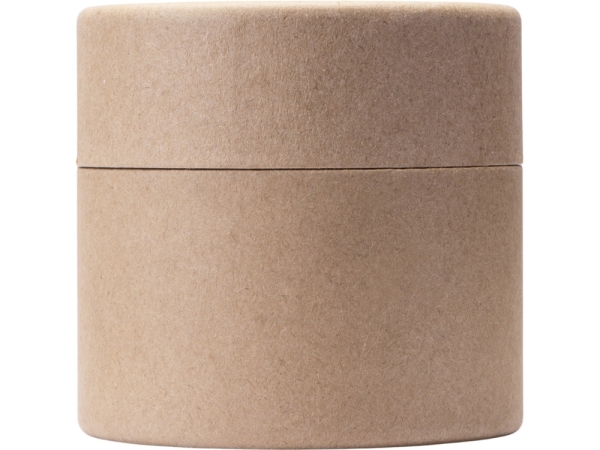 Набор автоароматов "Boho 3", крафтовый тубус