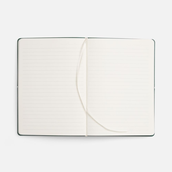 Ежедневник Kuka, недатированный, светло-зеленый