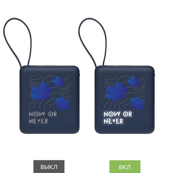 Внешний аккумулятор с подсветкой Ritter PD 10000mAh с функцией беспроводной зарядки 15W, синий