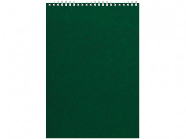 Бизнес - блокнот Альт А4 (198 х 285 мм) "Office" 60 л., зеленый
