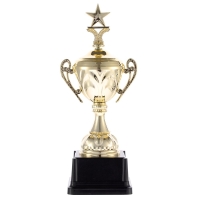 Кубок Top Star, золотистый Кубок Top Star, золотистый
