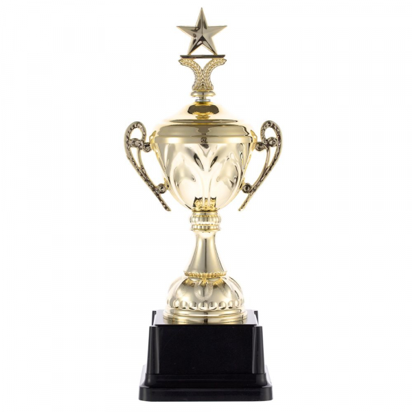 Кубок Top Star, золотистый
