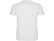 Спортивная футболка "Montecarlo" мужская, белый