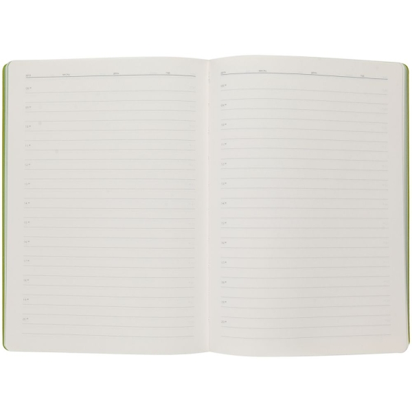Ежедневник Flexpen, недатированный, серебристо-зеленый