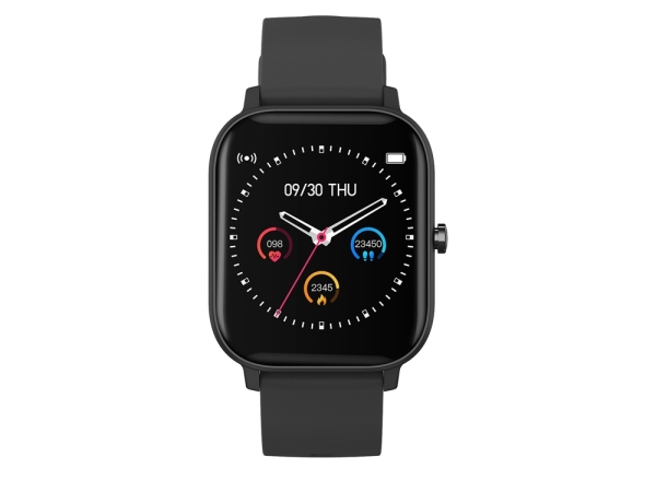 Смарт-часы Canyon SW-74 "Wildberry", IP67, черный