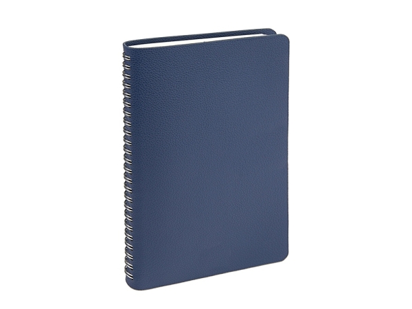 Ежедневник недатированный А5 "Alba", синий