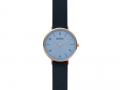 Часы наручные, женские. Skagen