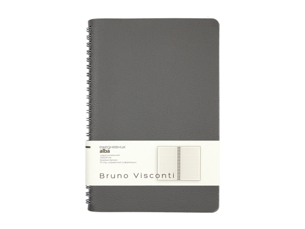 Ежедневник недатированный А5 "Alba", серый