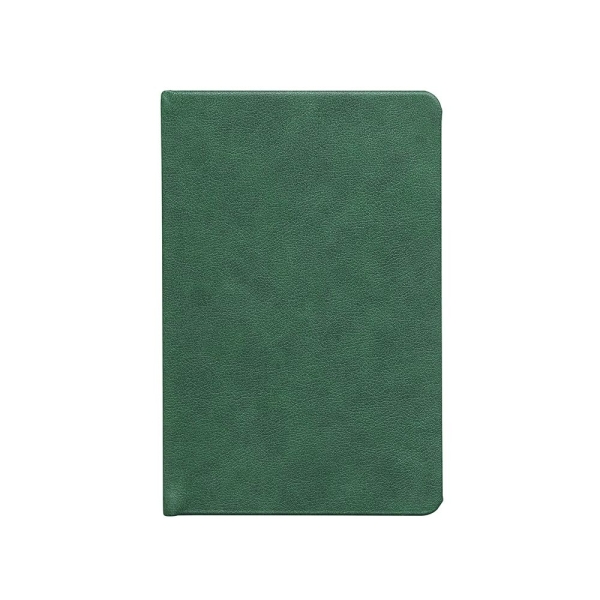 Ежедневник Daily Mini, недатированный, зеленый