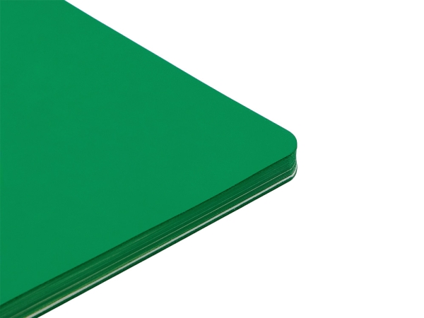 Блокнот "Audrey" А5 на сшивке в гибкой обложке софт-тач, зеленый