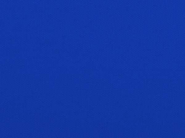 Сумка для шопинга Steady из хлопка с парусиновыми ручками, 260 г/м2, синий